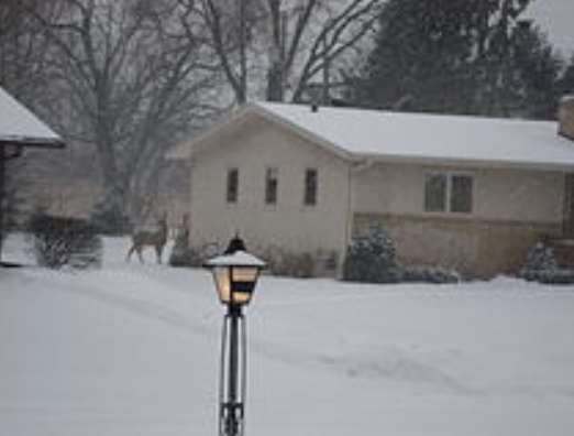 stone countertop 55411, 55416, 55422, 55426, 55427 44.9916911 -93.3940935